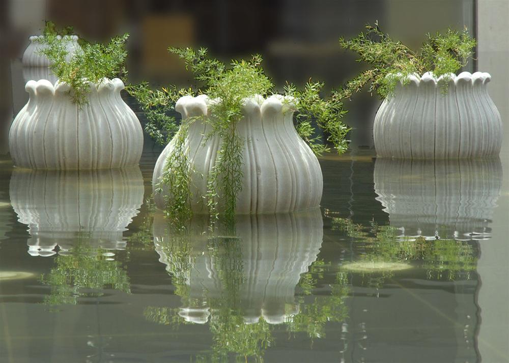 Jaipur Marriott Hotel Ngoại thất bức ảnh The watercress is a common plant used in the method.